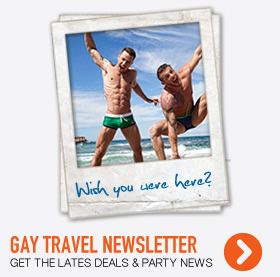 Subscribe To Gay Activist Newsletter 29